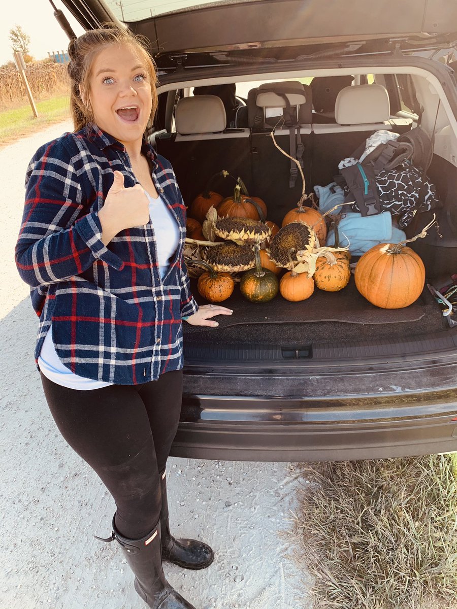 MrsH_MissLizzie's tweet photo. picking out pumpkins for the cuties in our patch 🎃🧡🌻 #CPSMaxStart @nic_langston https://t.co/K3OgG7vk8k