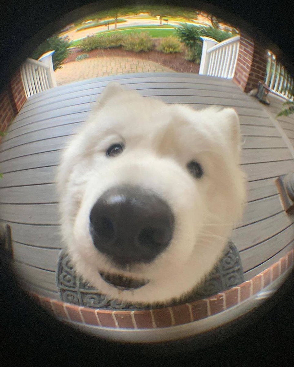 Gordito_Perrito's tweet photo. ABREMEEEEE https://t.co/gtYAwwMyNZ