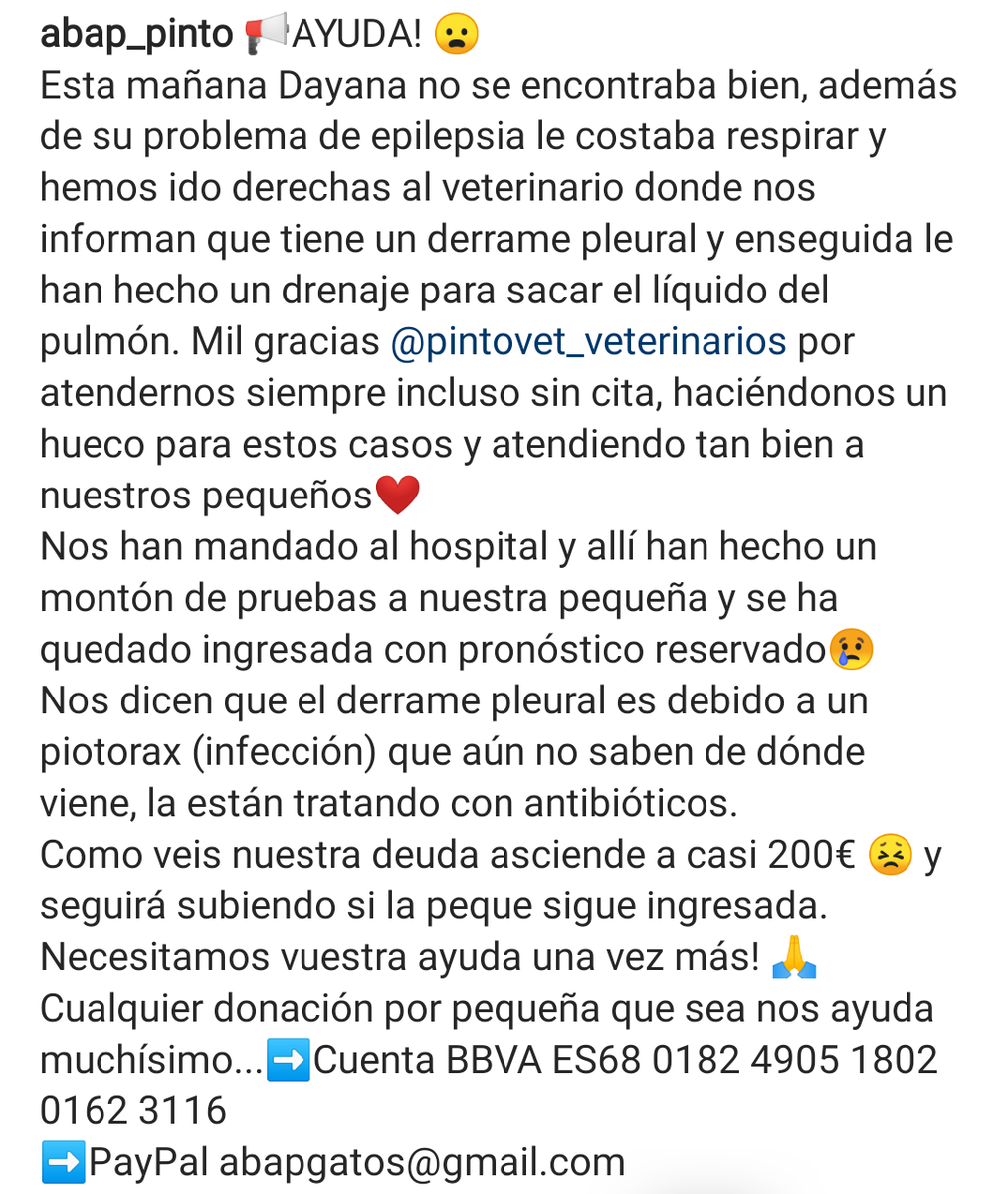 Abap_Pinto's tweet photo. Necesitamos vuestra ayuda una vez más!! 🙏😢 https://t.co/ulgY1E3pzK