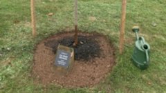 Yesterday, RCMPNS attended a tree planting ceremony in memory of Cst. Heidi Stevenson. The ceremony was organized by the Village of Bible Hill and held at H. Douglas Boyce Village Hall. As the tree grows in Heidi's memory, we will always remember her courage and sacrifice.