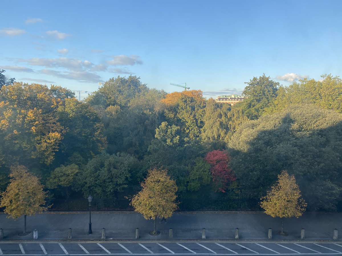 Simplekev's tweet photo. One of the bonus’s of #workingintheoffice The colours at this time of the year! https://t.co/xTRuS0F1ak