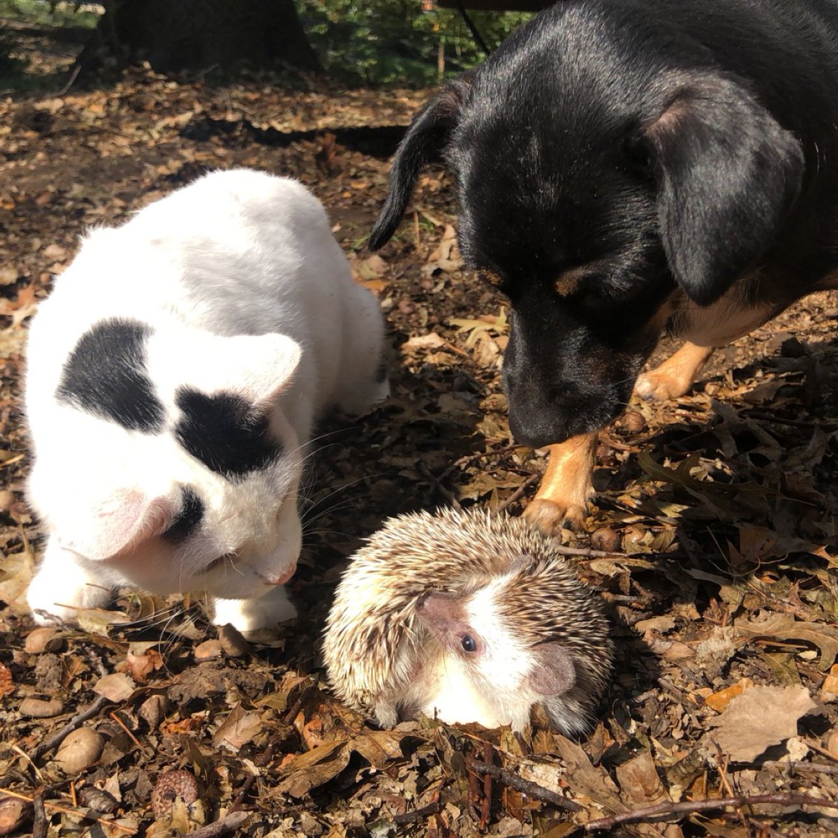 kaceytron's tweet image. Pretend you’re not jealous.