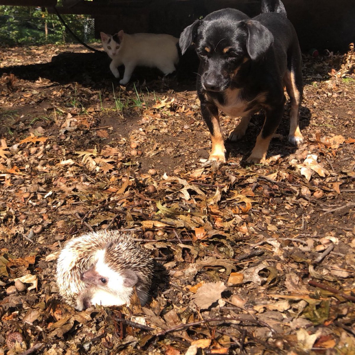 kaceytron's tweet image. Pretend you’re not jealous.