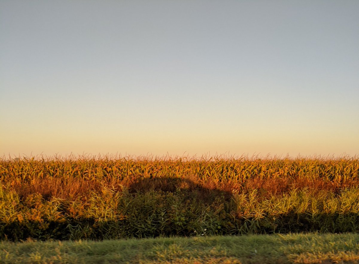 Gee Teal tweet media