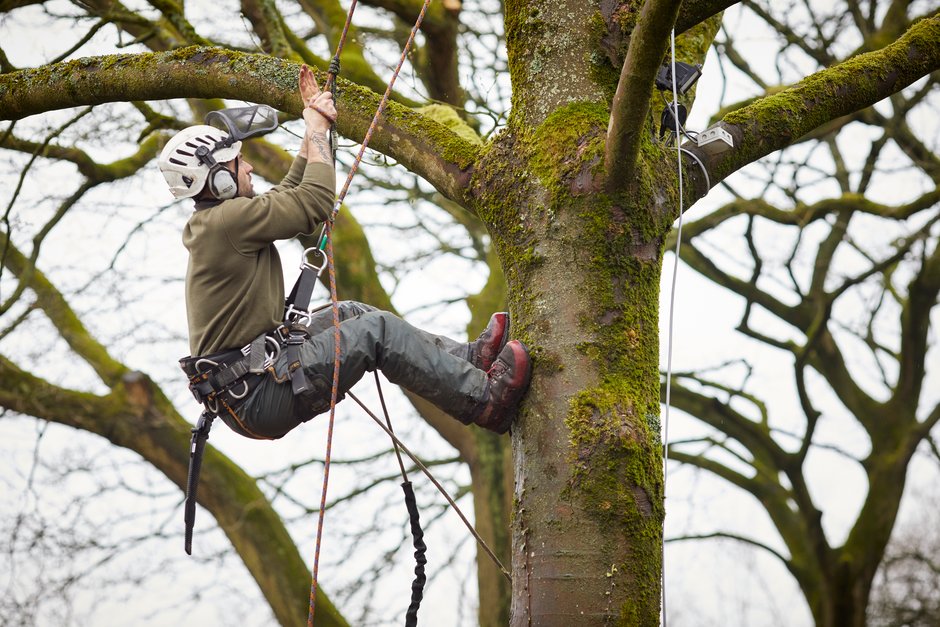 RHSBridgewater's tweet photo. On Sat 10 &amp; Sun 11 Oct we’ll be doing essential work on some potentially hazardous dead &amp; diseased trees along our Leigh Rd boundary. The western-bound carriageway will be closed &amp; temporary traffic lights installed from 7am-4pm on both days so the work can be done safely 👍 https://t.co/rRa2DxZeFZ