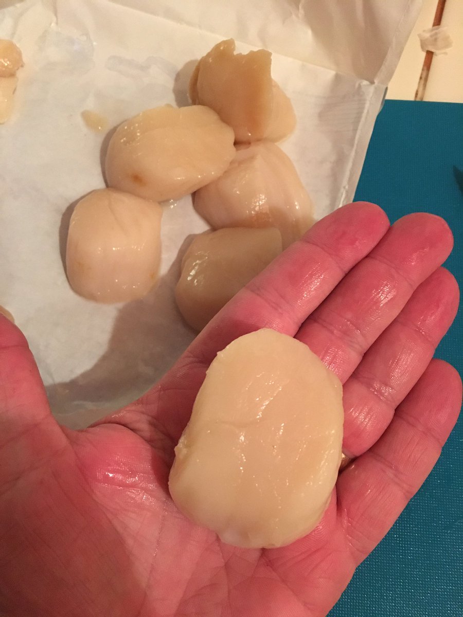 Food_A4thought's tweet photo. Where’s @heaney16 with his XOsauce when you want him 🤷🏻‍♂️🤷🏻‍♂️

#Scallops #FreshScallops #FreshSeafood #NoXOsauce  #GarlicLemonButter https://t.co/K5huXVRM4D