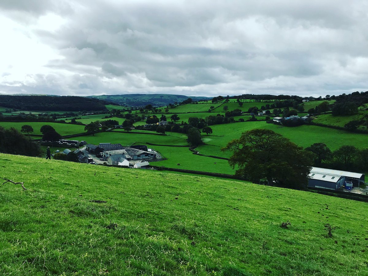 Great view while TB testing today! #vetlife