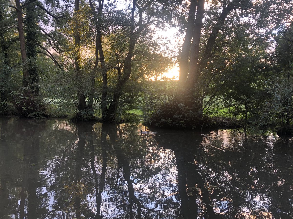 Mark Tate tweet media