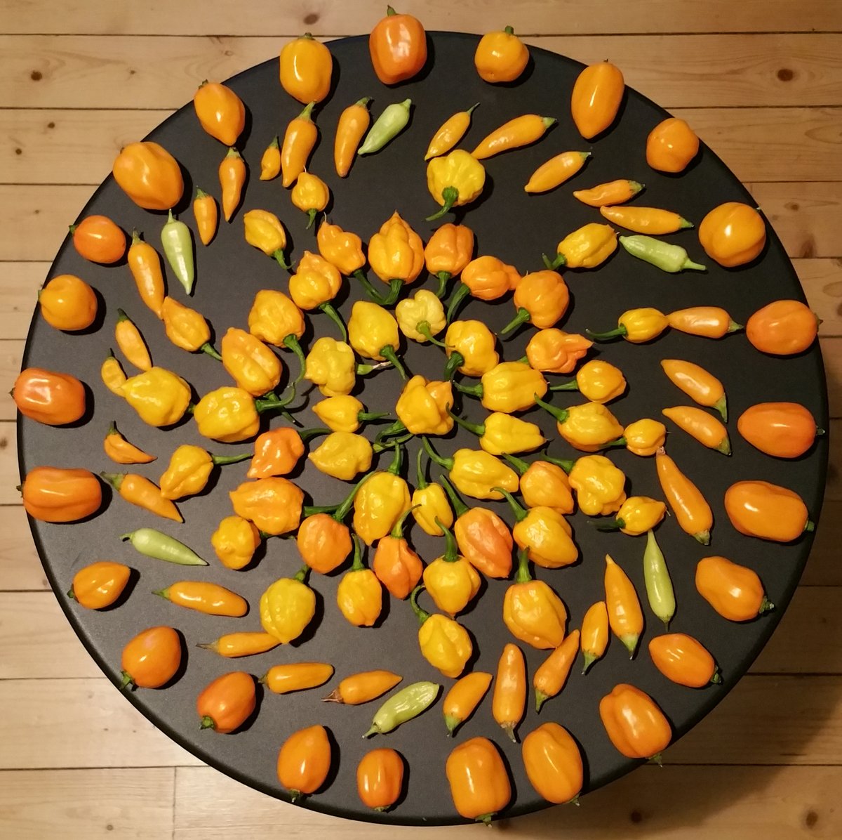 Too many chilis.