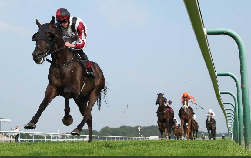 ValueRacingClub's tweet image. A day we’re very much looking forward to. Leoncavallo in the Cesarewitch @DavidPipeRacing @andrewkmulleng1 @SunRacing