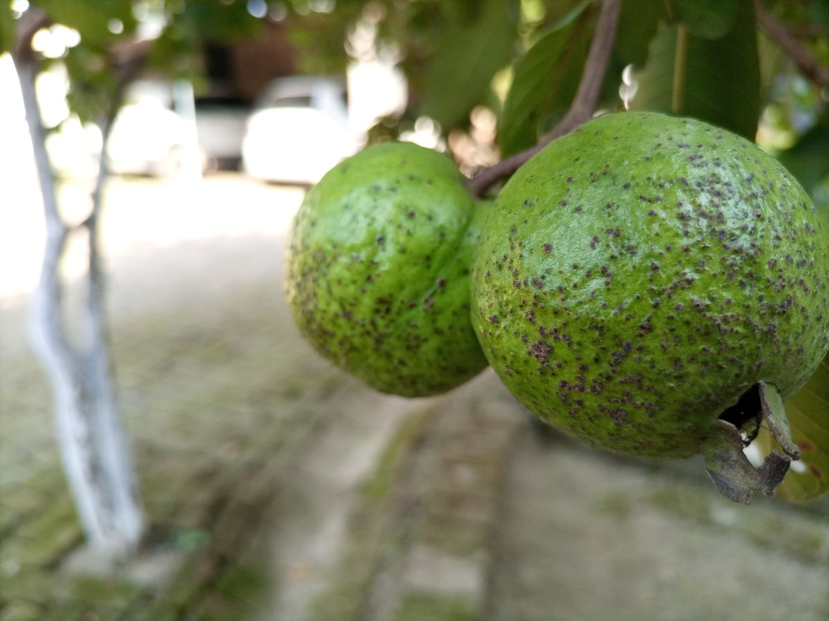 RoyalTechPro's tweet image. Shot on #infinixnote7 
#portrait #portraitphotography #portraitshots #shotoninfinix #shotoninfinixnote7 #photography #infinixphotography @infinixindia #RTPShots #RoyalTechPro