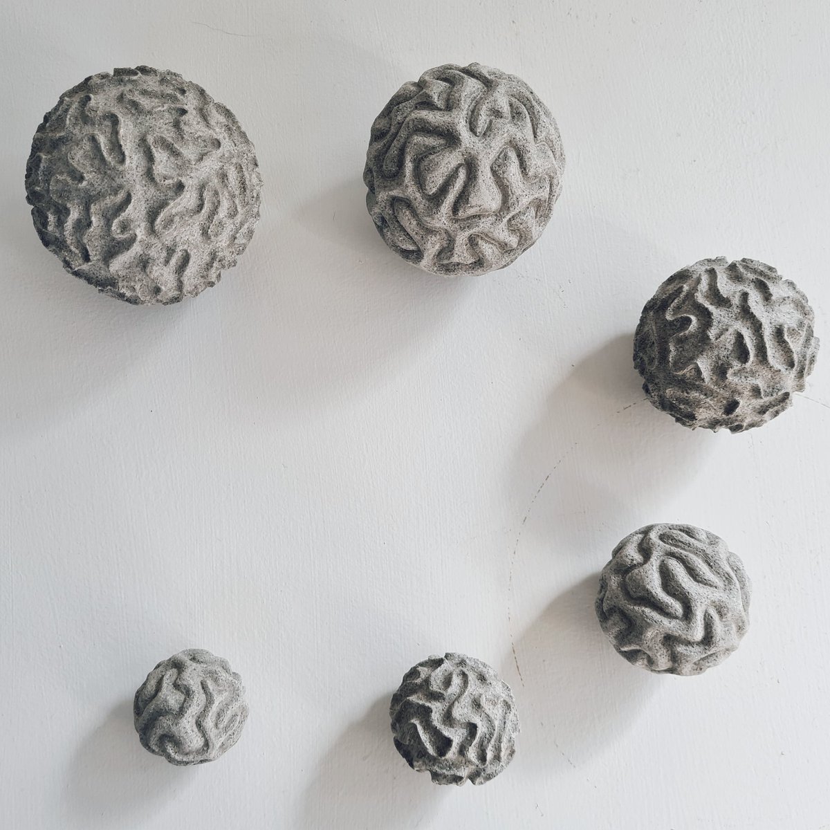 Some carved ' Seaweed Time Stones' now at Inverness Museum and Art Gallery for my show 'Traces of Time' which starts tomorrow and runs until 31st December.