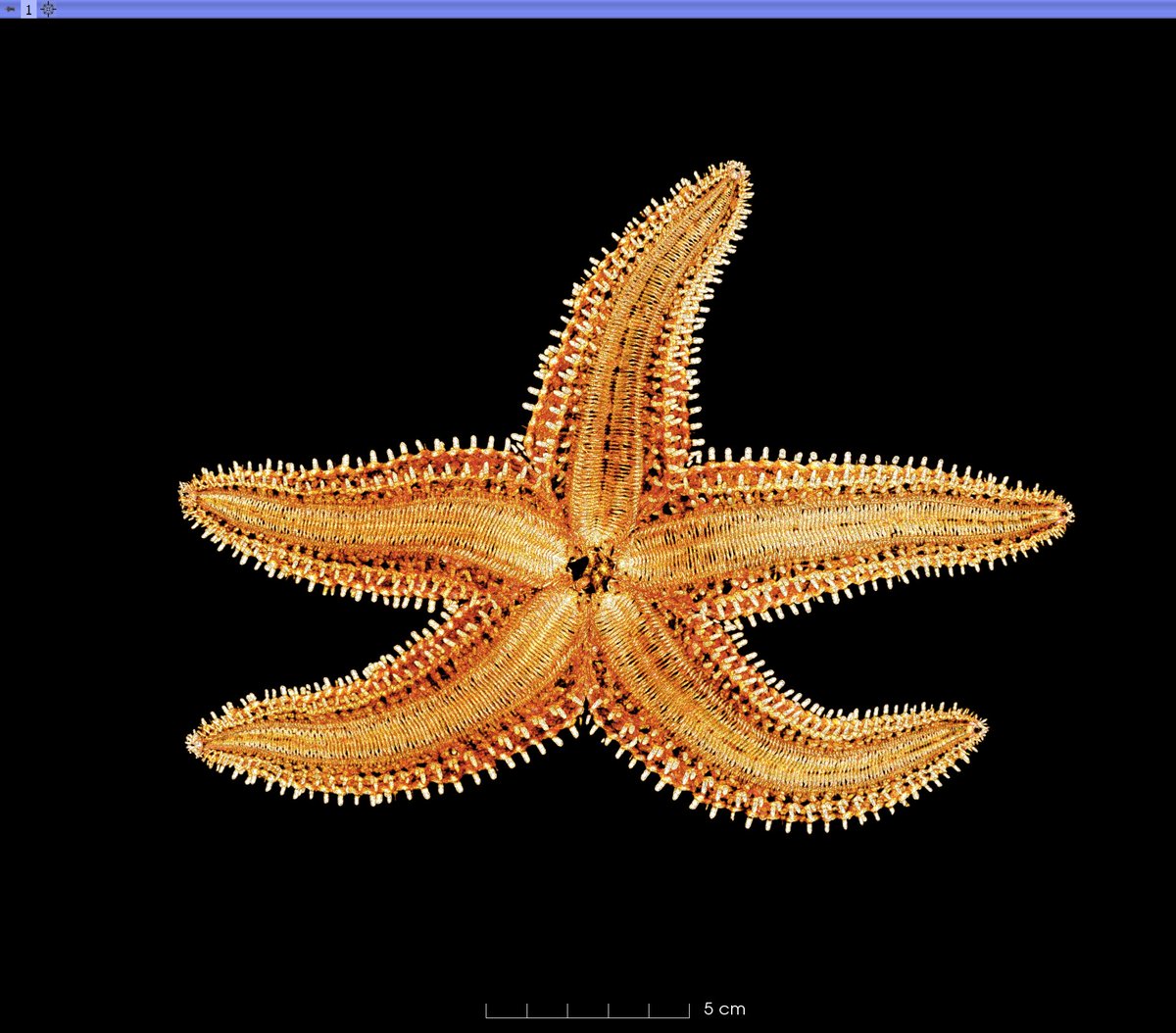 Mo Turner, PhD tweet media