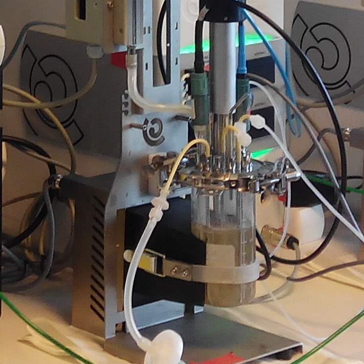 MicroWine tweet media