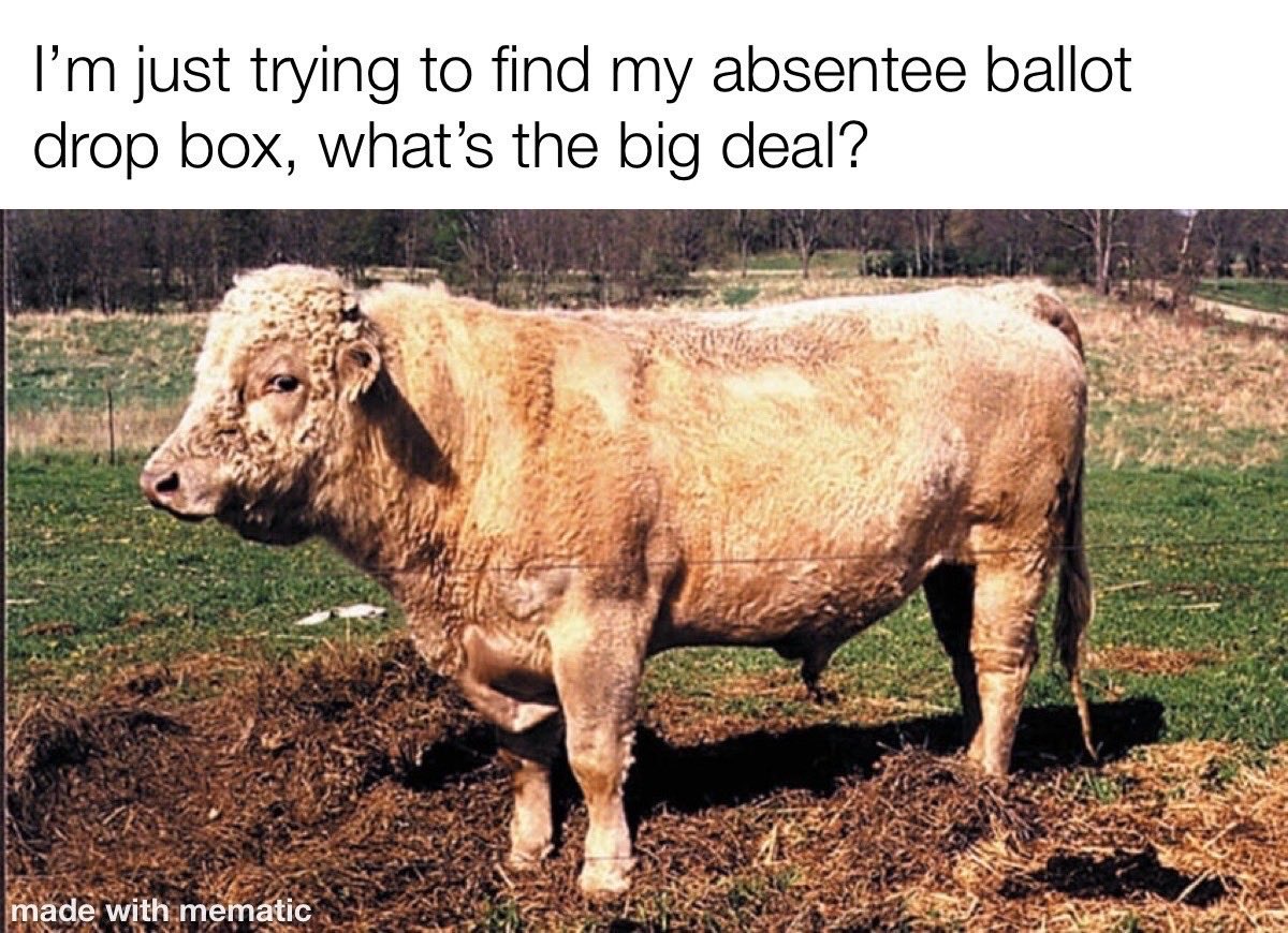 CTSotS's tweet photo. (1/2) Some would say Buddy is on the run, others would say he’s running loose. Honestly, he’s just trying to find his absentee ballot drop box! https://t.co/PvhJ3DtaE0