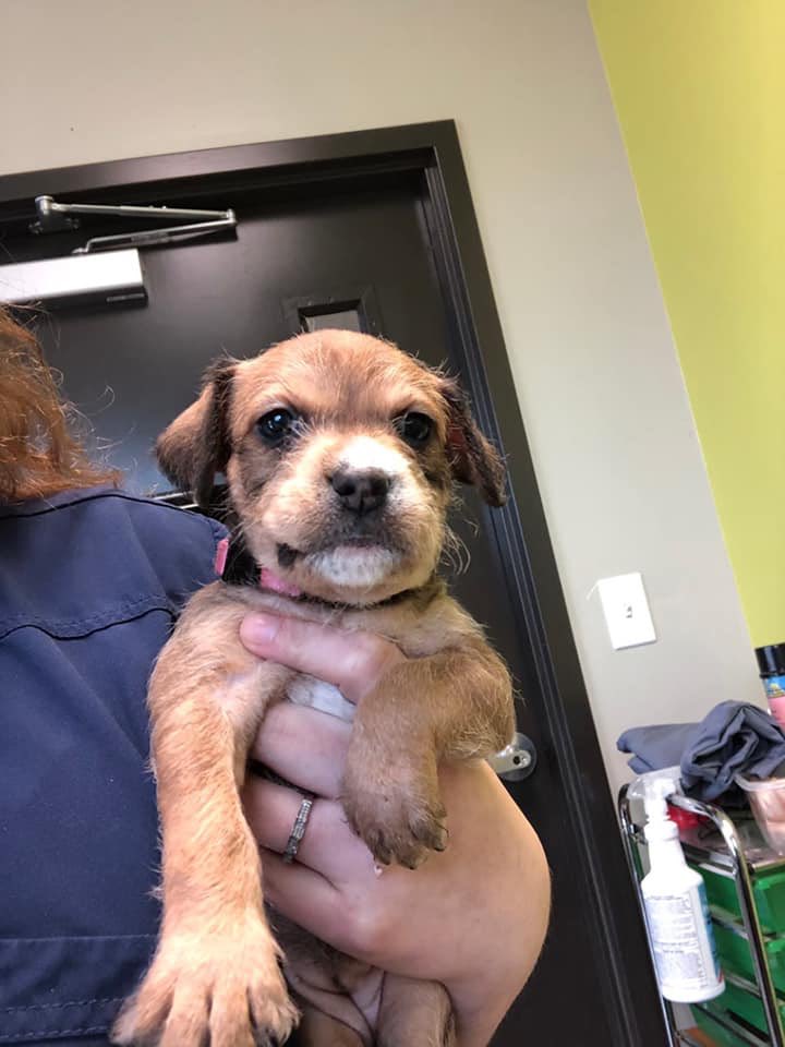 HS of Huron Valley tweet media