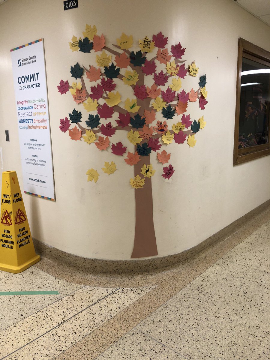Codrington P.S. tweet media