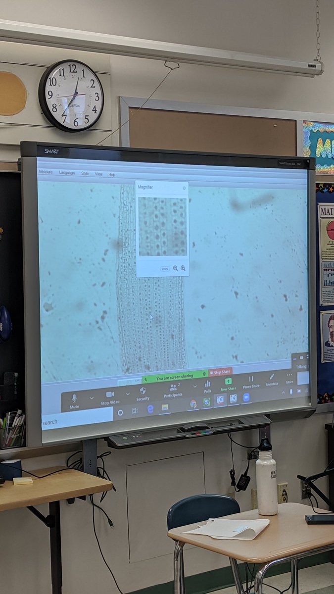 Darien_Science's tweet photo. 6th Grade Scientists asking questions about cell structures and function.  #dpslearns https://t.co/sxbGefQYJx