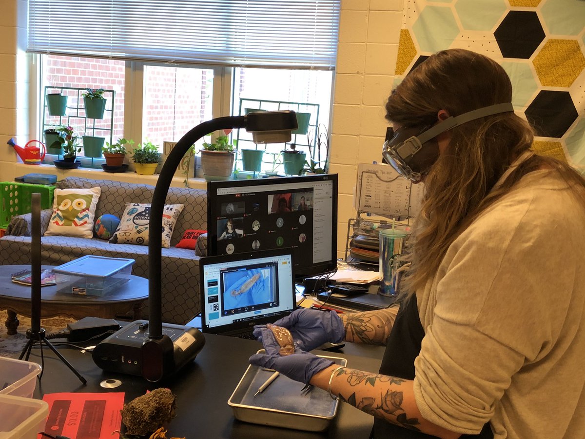 Crystal Walker tweet media