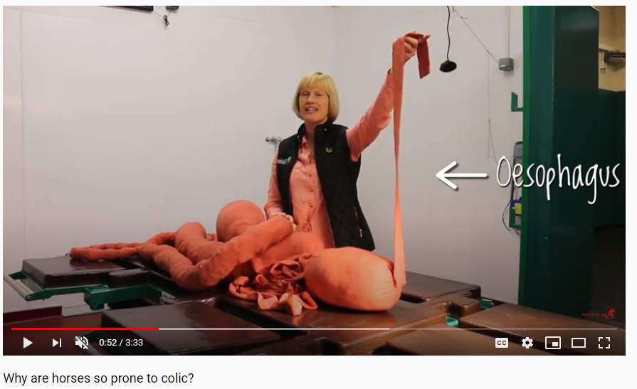 Andie McPherson tweet media