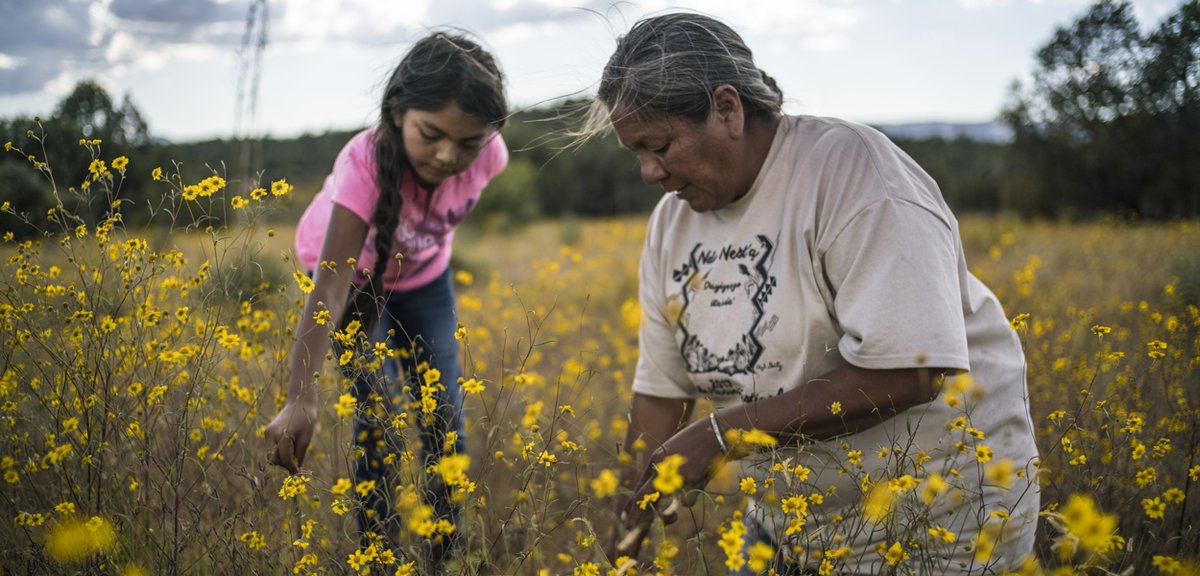 NiaTero's tweet image. Tune in Monday, October 13th for #IndigenousPeoplesDay programming at @CamdenIFF - Watch films from #IndigenousCreatives

pictured: @gatherfilm 
#ThrivingPeoplesThrivingPlaces