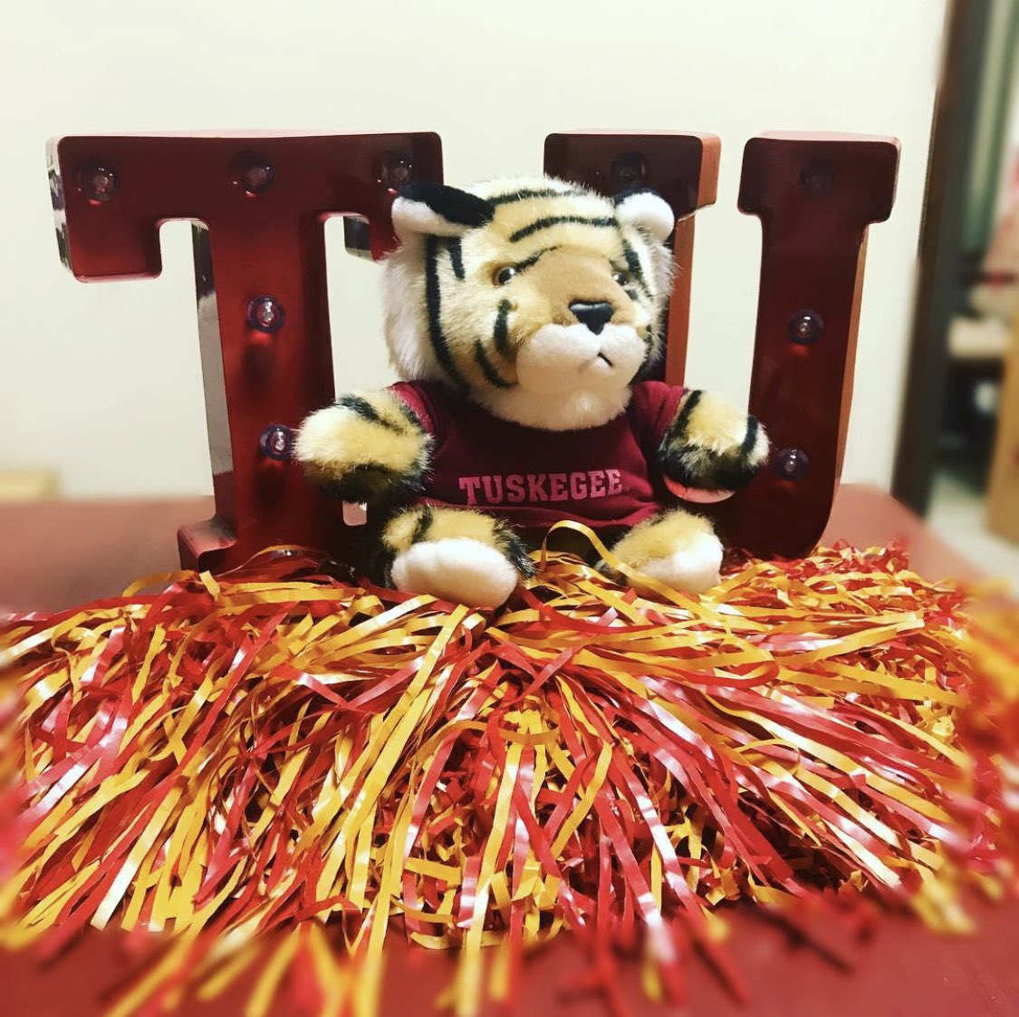 Tuskegee University Admissions tweet media