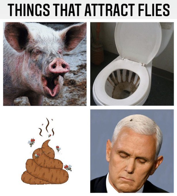 What's with the fly line-ups?