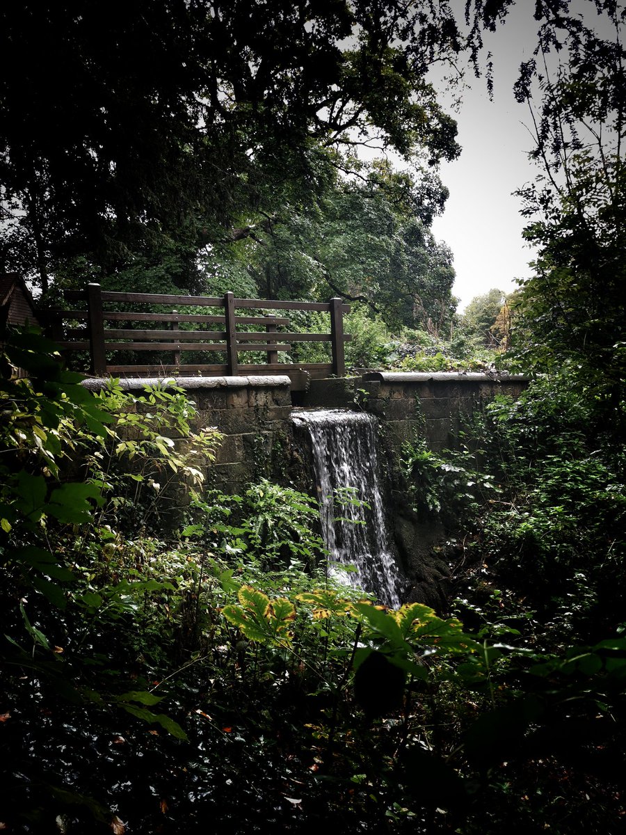 Absolute stunning walk this morning!