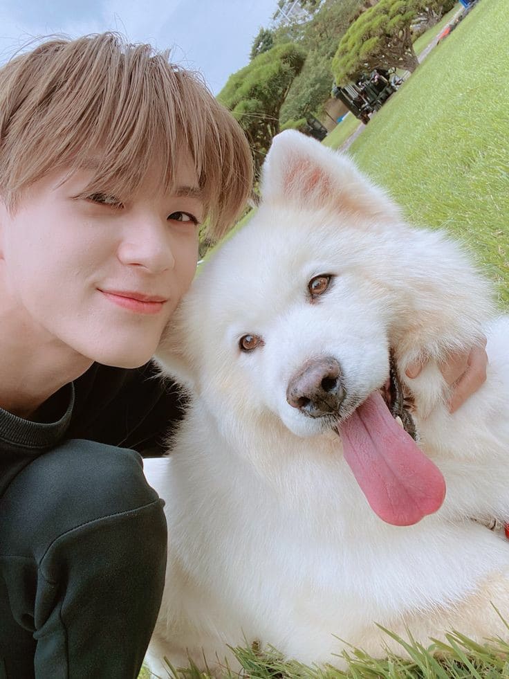 Jeno as Asahi- looks scary, but he's actually more scared than you- pure and kind soul- powerful - perfect body proportions - he thinks to be the quiet one in the chaotic group- jawline sharper than a knife- called "boring" because he has his own kid of humor