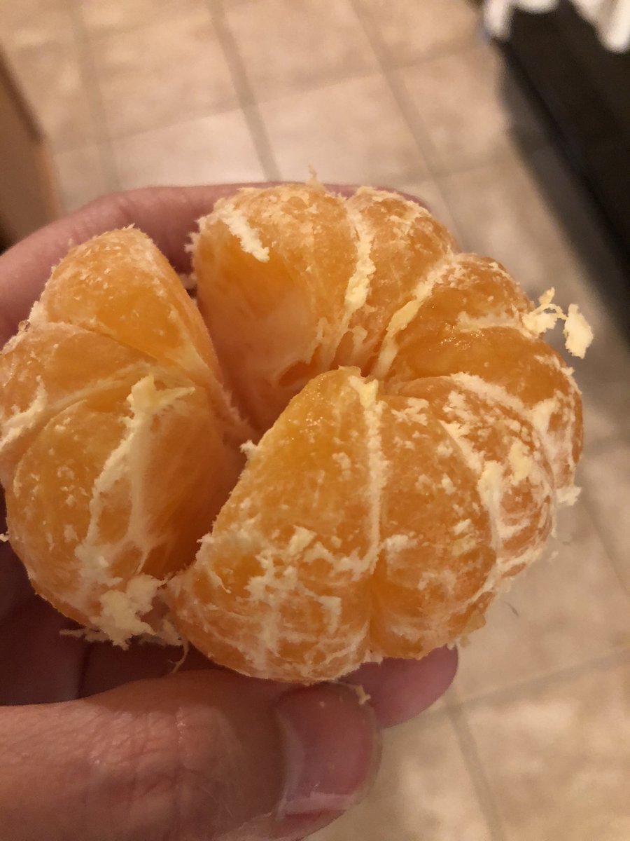 Bone_4th's tweet photo. When you study seeds and fruit and your students get really excited, they bring you fruit from their gardens.  I love my students and their hearts of gold!  🥰 @WarnerCFISD https://t.co/FIPOUjDtuU