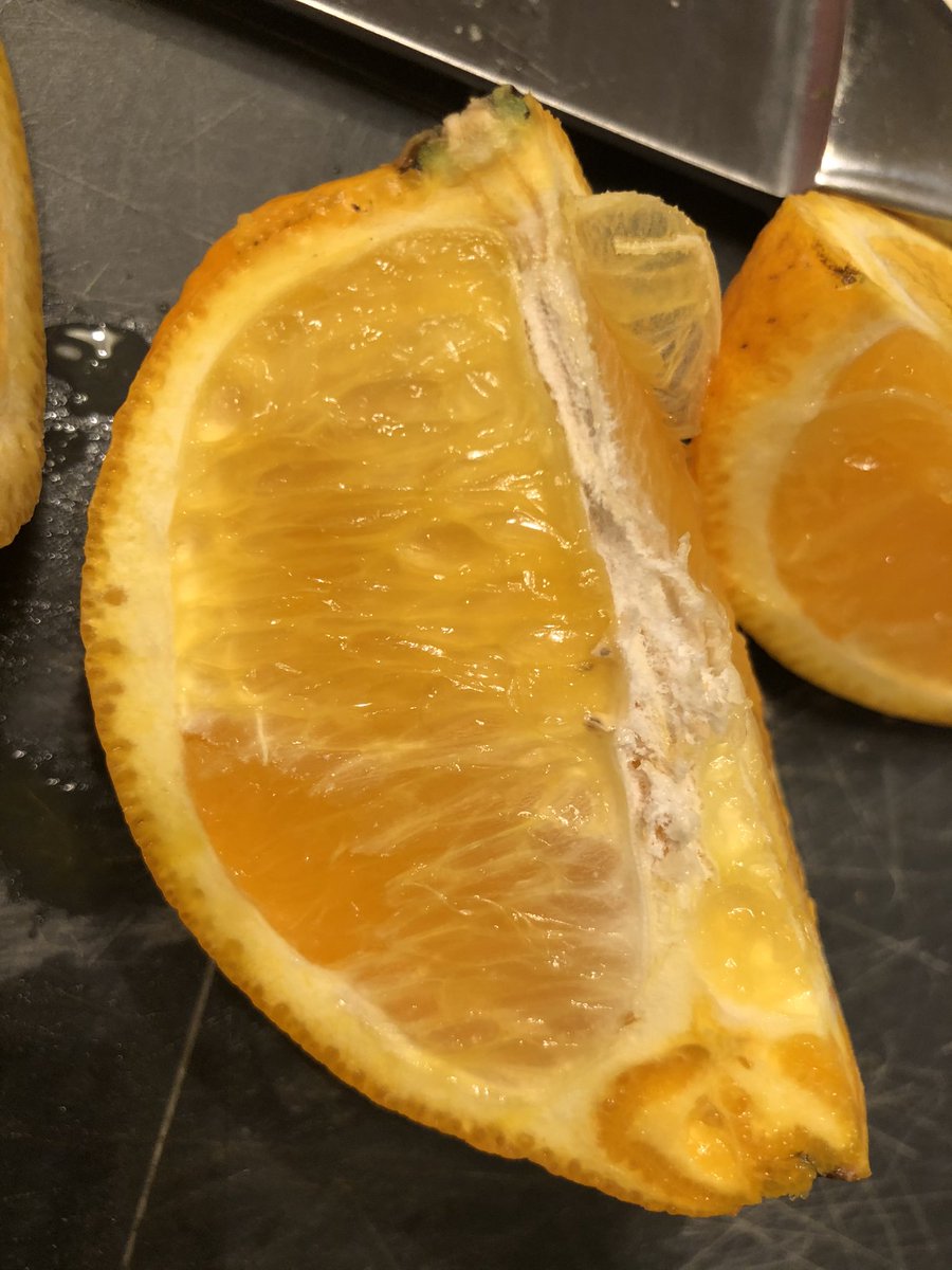 Bone_4th's tweet photo. When you study seeds and fruit and your students get really excited, they bring you fruit from their gardens.  I love my students and their hearts of gold!  🥰 @WarnerCFISD https://t.co/FIPOUjDtuU