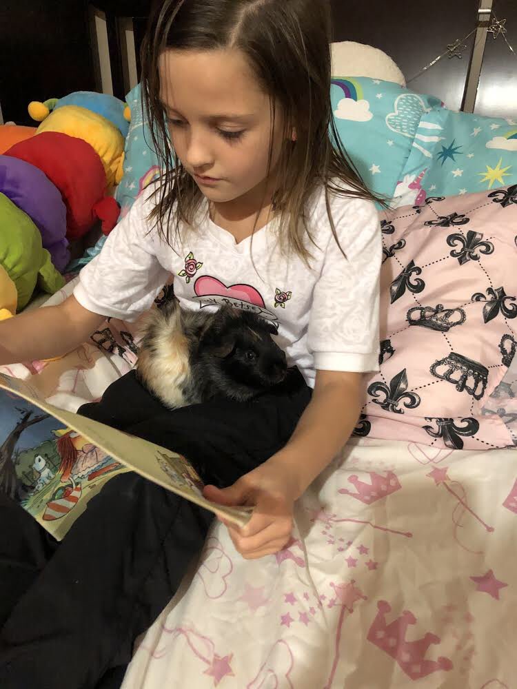 HolyFamilyS's tweet photo. VG Grizzlies are hungry for reading during Read In Week! #readinweek #gsacrd https://t.co/9HpEsFvE2T