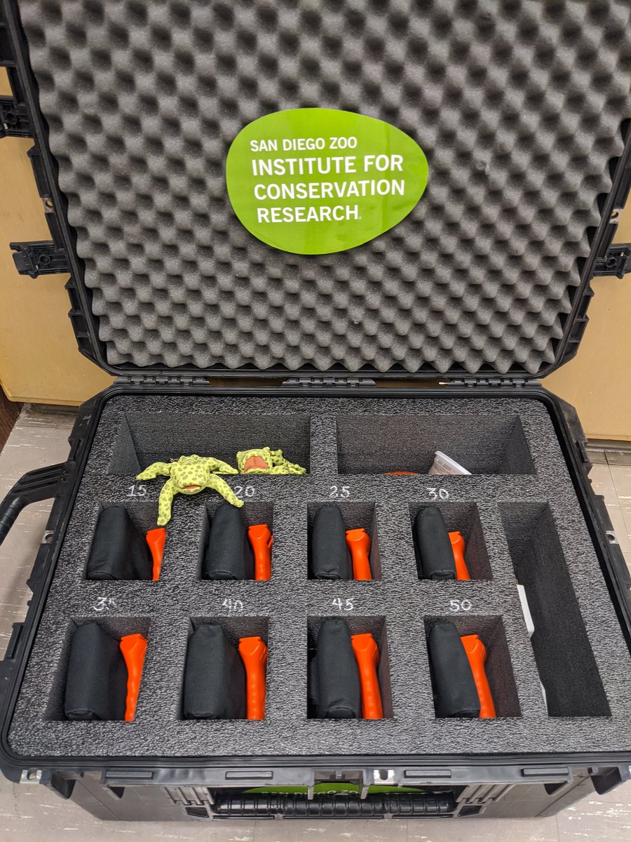 Kelly Kroesen tweet media