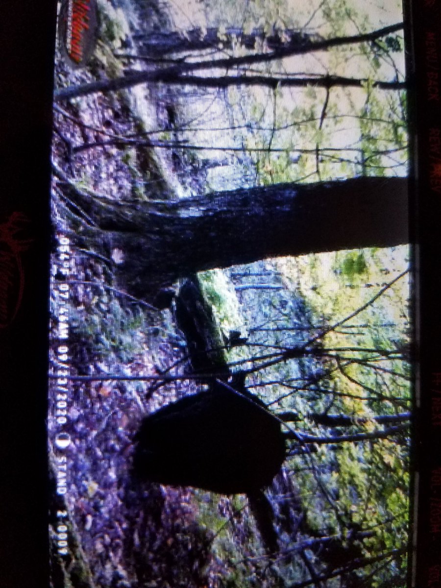 kmarksberry199's tweet photo. @Owakening Hey Joe bow season  in pA 
This is Ricks grand pa. https://t.co/ND7NxYVmDF