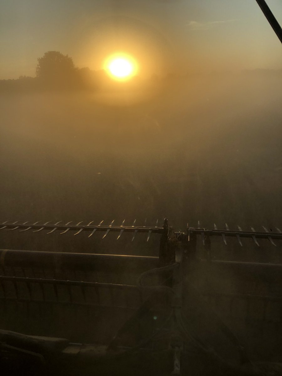 Here’s my view this evening!