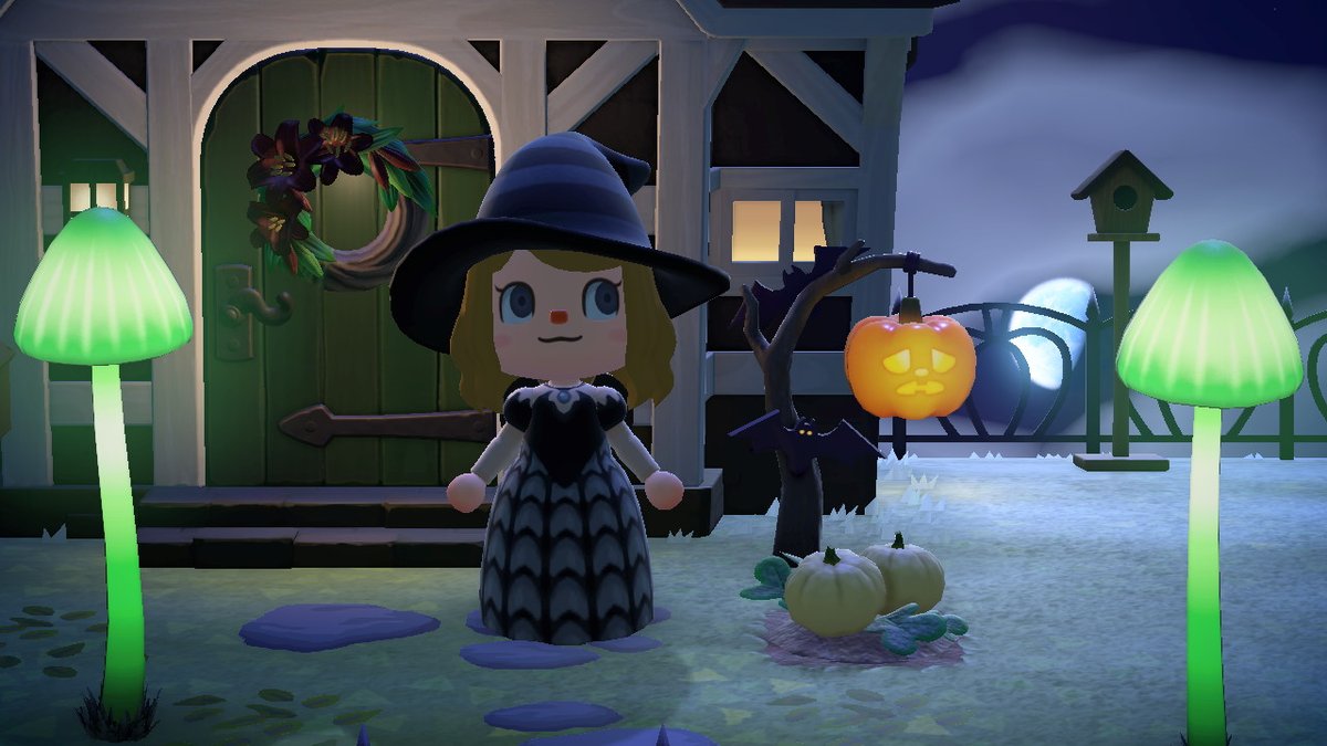 Sarah Cline tweet media