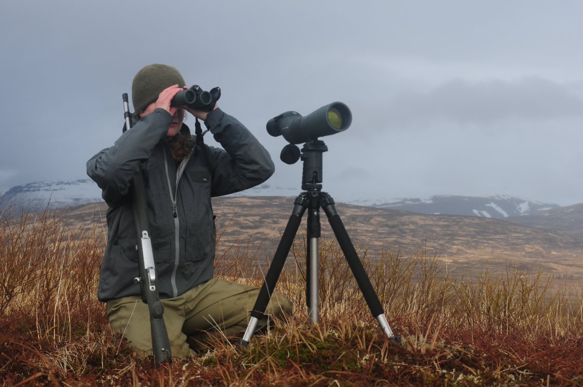 SalmonStateAK's tweet photo. (4/5) “Watching my 2-year-old niece out here experiencing everything my brother and I did as kids — it makes me super grateful. It’s something that we should be allowed to experience as humans.” — Tia Shoemaker, Bristol Bay resident & hunting & fishing guide #notrednotblueAlaskan https://t.co/POJbDwkY4n
