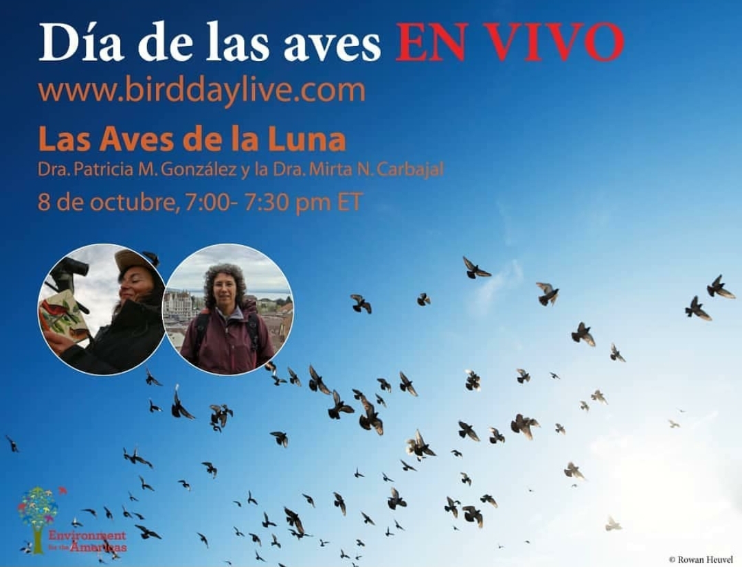 enviroamericas's tweet photo. Estamos en nuestras últimas sesiones del primer dia de #BirdDayLIVE
Estamos muy agradecidos por todas las excelentes presentaciones y los invitamos a la sesión de nuestras oradoras destacadadas con su presentación #LasAvesdelaLuna
#WMBD #DMAM #lasavesconectannuestromundo https://t.co/xPnOP56DPO