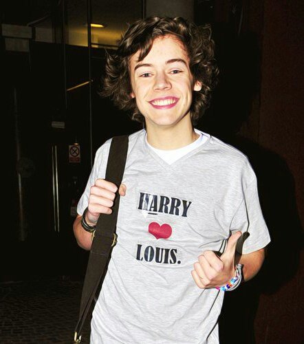 Harry Love Louis Crop Top Inspired T-Shirt Tomlinson Shirt Classic