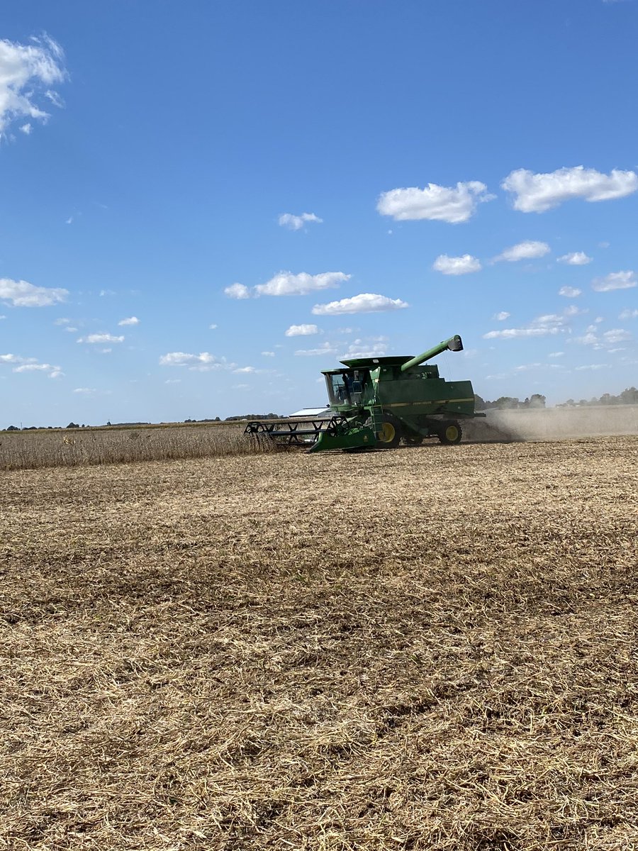 We are evaluating three different trait packages of soybeans from relative maturities 2.5-3.8 in Putnam Co, OH! #Enlist #Extend #LibertyLinkGT27