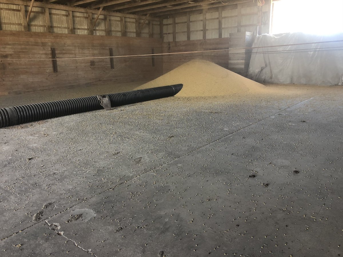 robertreese_4's tweet photo. #FlatStorage we were promised if we put it in now, @GoddessofGrain would give us $12 for it in January https://t.co/vJwRqsQIii