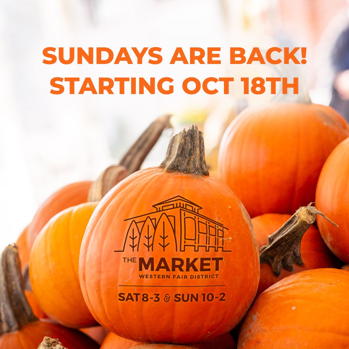 <a href="/TheMarketWFD/">The Market at WFD</a> is excited to announce that we will be back open on Sundays beginning October 18th! Our Sunday hours are 10am - 2pm and we cannot wait to get back to welcoming you all weekend long..!.
.
#meetmeatthemarket #marketwfd #digoev #shoplocal #ldnont