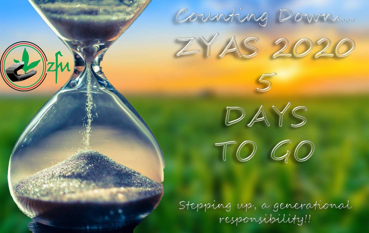 ZFU_Official tweet media