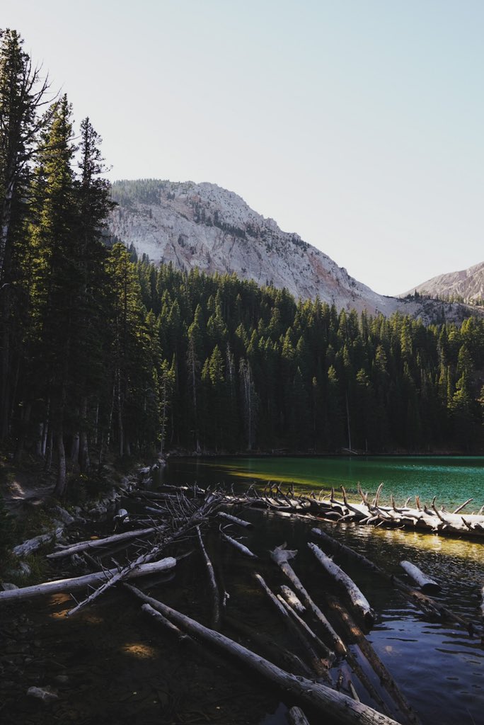 tylermacklinn's tweet photo. Montana has been awesome. https://t.co/kaaQ5iyrcn