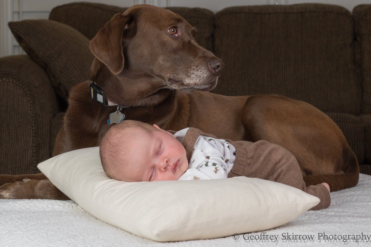 Kathryn Skirrow tweet media