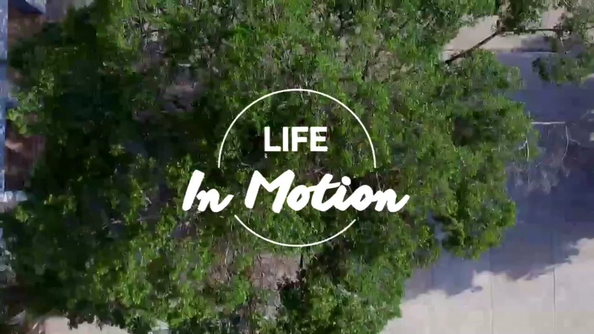 Liveislife tweet media