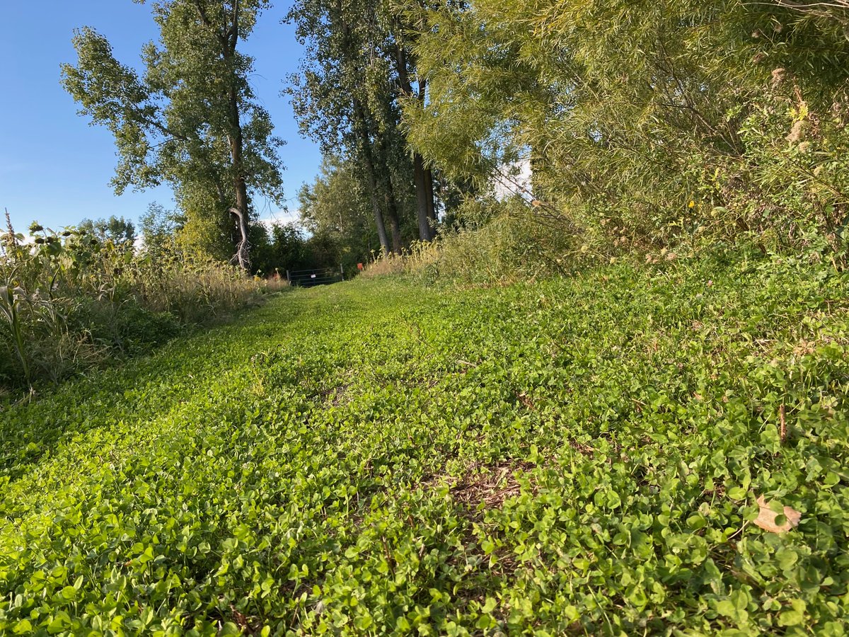 CrookedBendLLC's tweet photo. On the trail again, just canโt wait to get on the trail again ๐๐ฆ๐
.
.
.
#crookedbend #loveyourherd #whitetailseason #crossbow #hunting #outdoors #foodplot #deerfoodplot #views https://t.co/wBhwhZV8F2