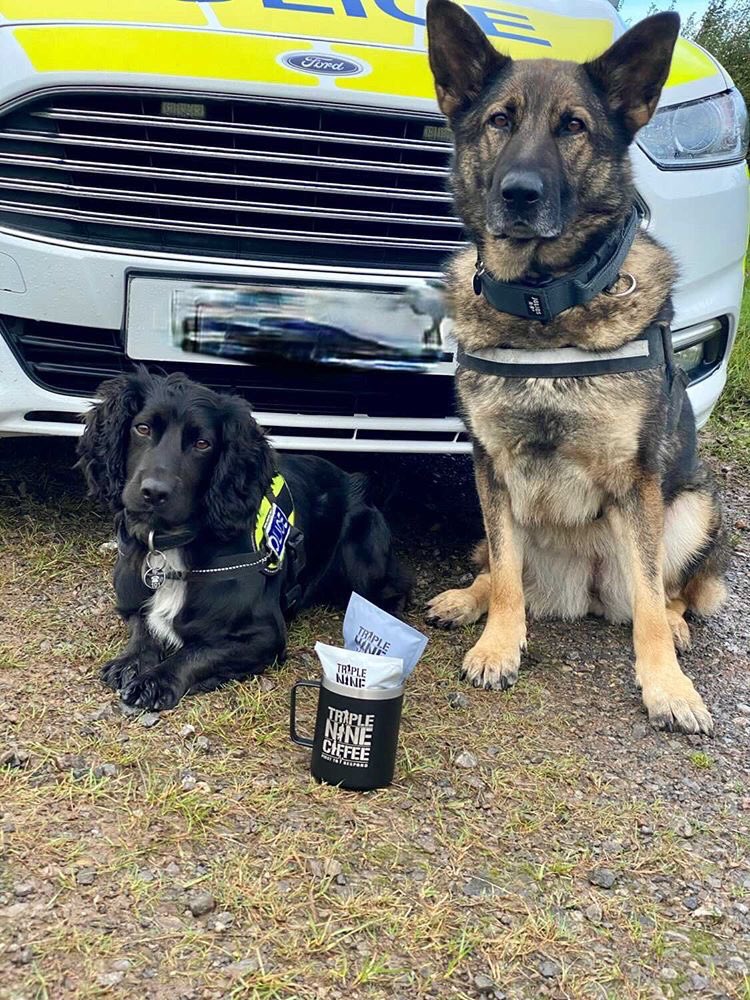 coffee_triple's tweet photo. We keep the land shark handlers caffeinated, happy and top of their game! ๐โ๏ธ Because when one of these sharks are released! Youโre going to need all the energy you have! ๐๐ฏ๐ #landshark #sendinthedogs #coffeeaddict #runlikeforest #therenohiding #police #k9 #blueline #coffee https://t.co/dgeaIRMgBY