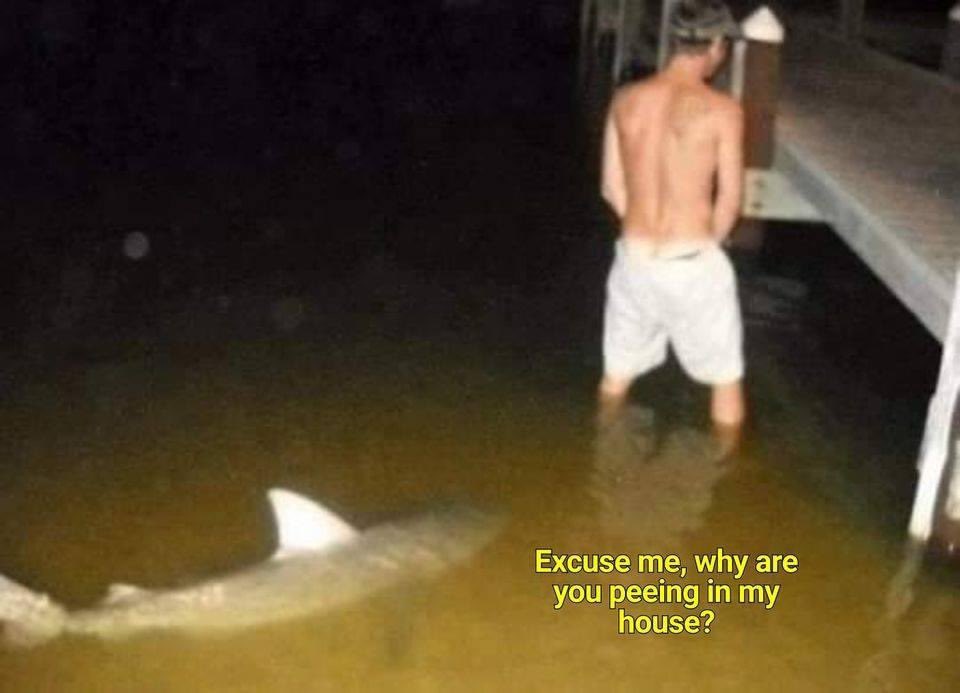 Rusty Partch tweet media