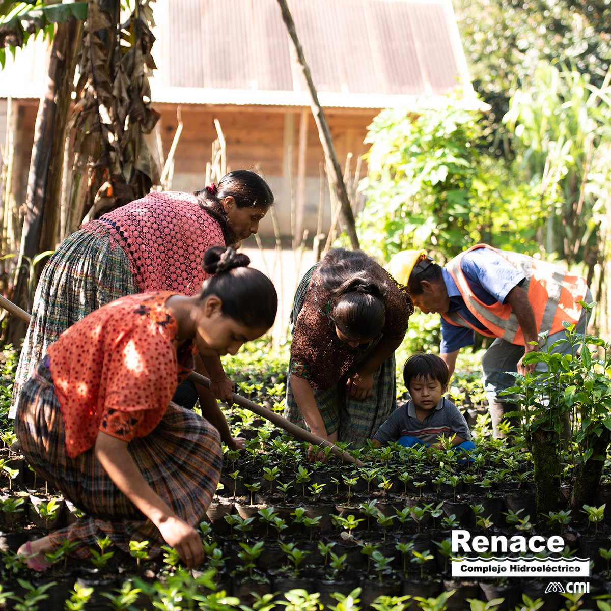 #RenaceAporta a  mejorar la nutrición por medio del Programa de Desarrollo Social Sostenible Excelencia Agrícola, que ha generado huertos familiares. Este programa, en 2019, benefició a 27 comunidades Maya Q’eqchí’ vecinas.